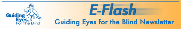 E-Flash: Guiding Eyes for the Blind Newsletter