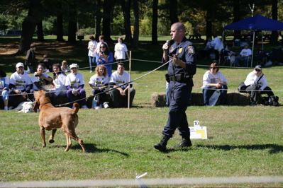 Demonstrations from a police k9 team
