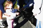 Baby and Black Lab