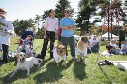 Photos from the 2006 Walkathon