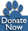 Support Kathi!